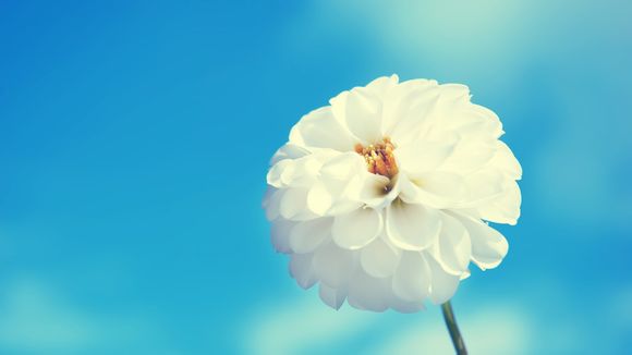 金改是什么意思