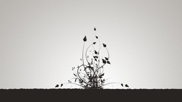 借贷宝催收费多少钱