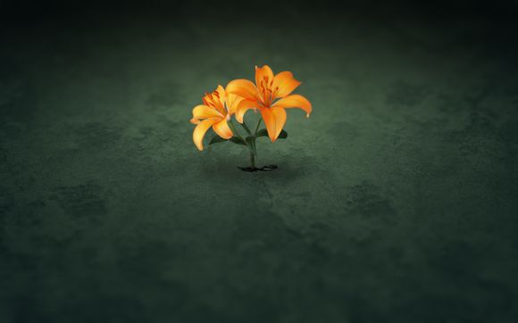 合约规则是指什么