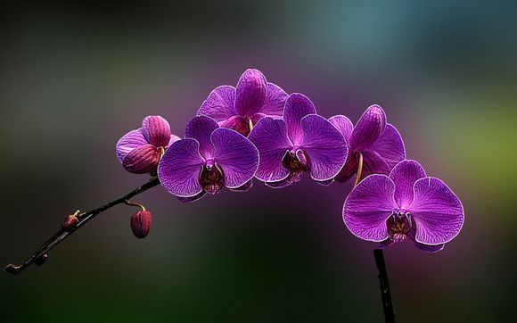 惠州公积金怎么停了