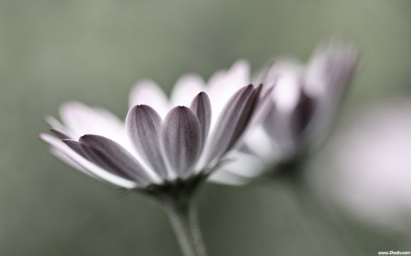 菜百百货经营什么