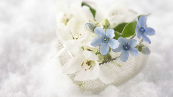 公司购车折旧怎么计提
