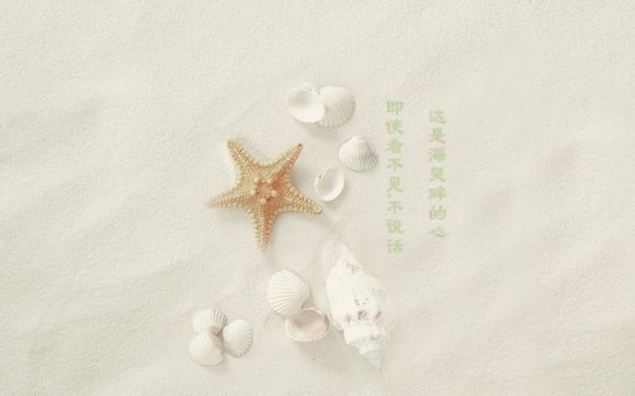 什么是单一煤